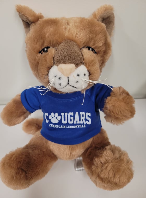 Stuffed Animal - Cougar – Champlain Lennoxville Campus Store